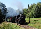 2021.09.25 JHMD U46.101 Jindřichův Hradec - Nová Bystřice (31)